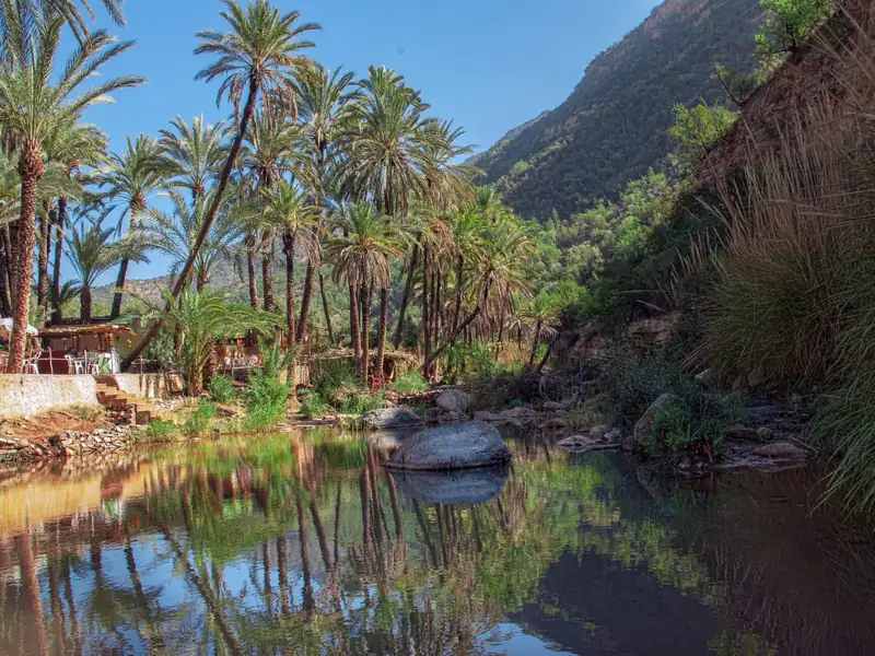 Palm trees reflected in a calm river pool in Paradise Valley near Agadir